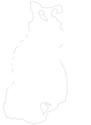 Beaver Island Trails